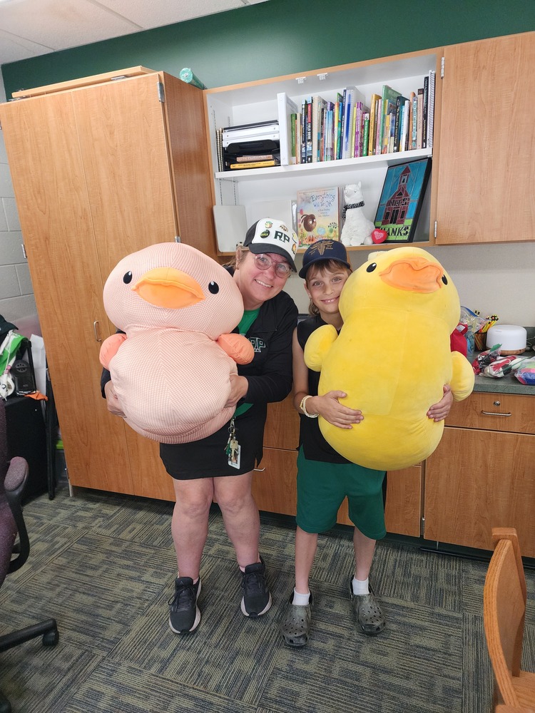 summer duck