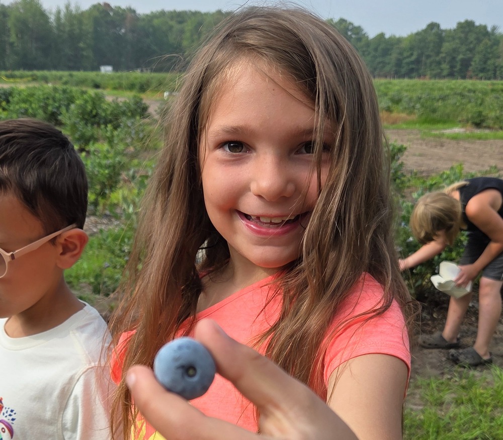 Blueberries