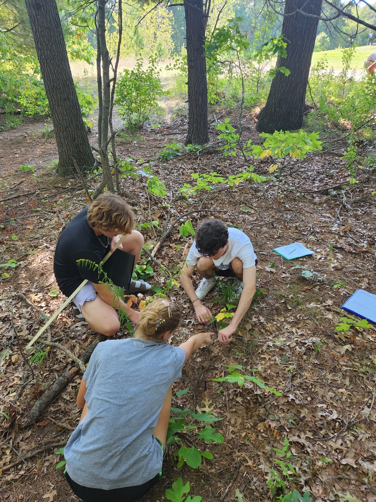 students count different species outside