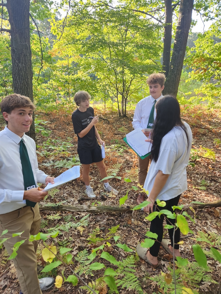 students choose an area to test
