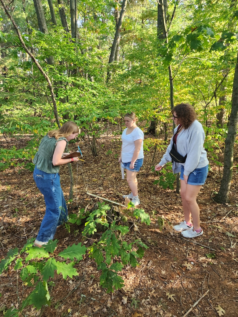 students count species 
