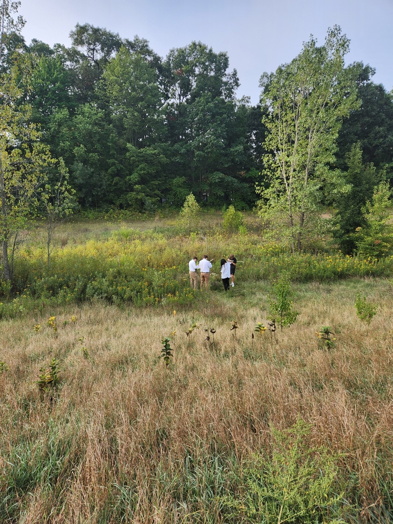students count species outside