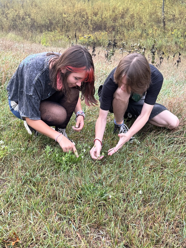 Students looking at leaves and grass