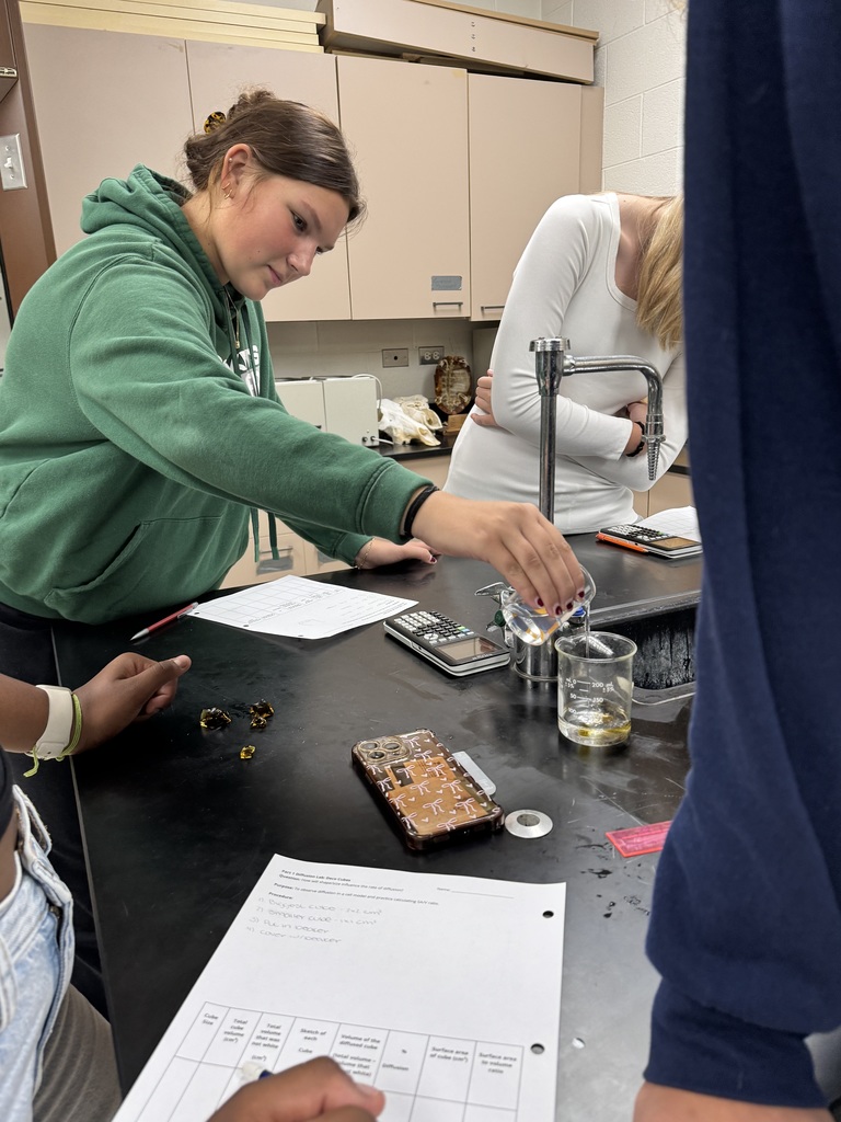 Student pouring vinegar over cubes to study diffusion