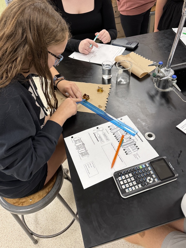 Getting the perfect size gel cube to study!