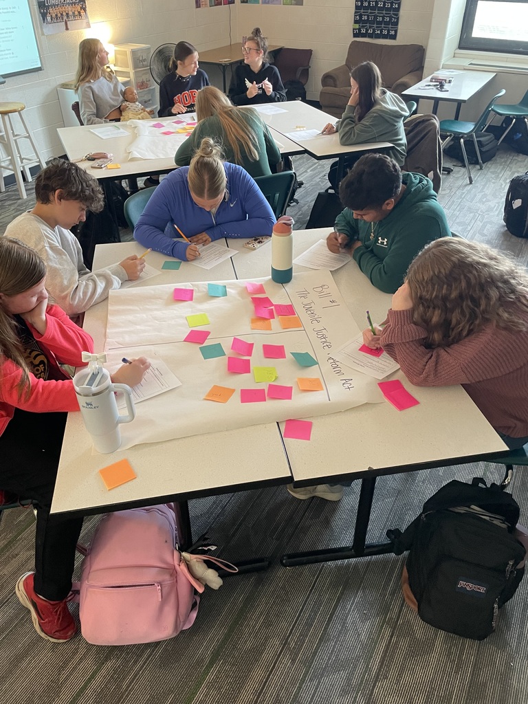 Writing their individual opinions on the proposed bill. 
