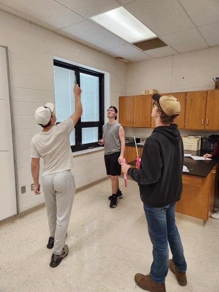 Students working in lab groups with bubbles. 