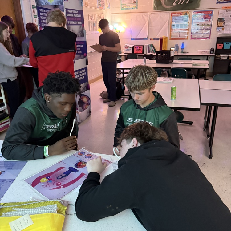 students participating in hands on activities 