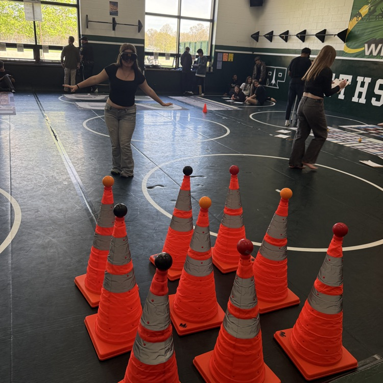 students participating in hands on activities 