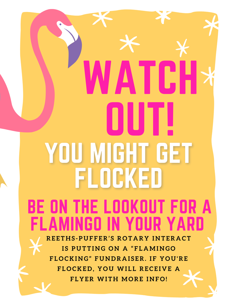 Flamingo Flocking Fundraiser Flyer
