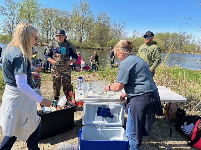 Salmon release
