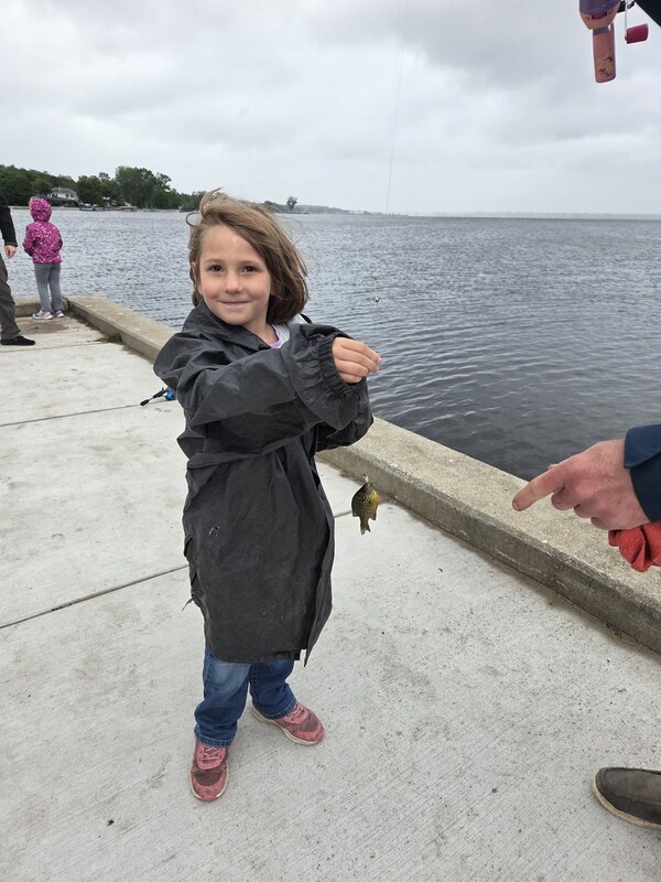Fish