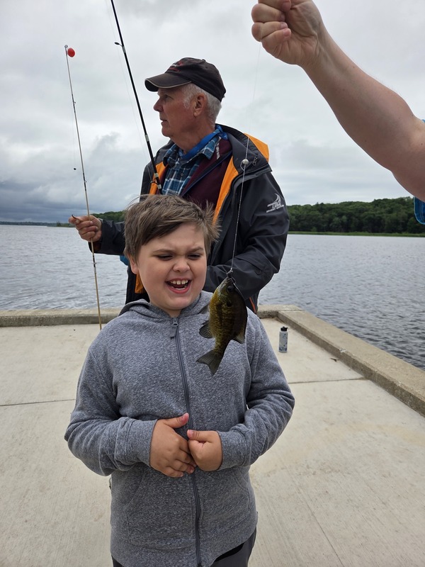 Fish