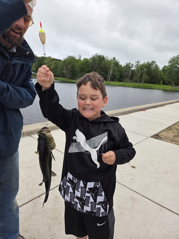 Fish