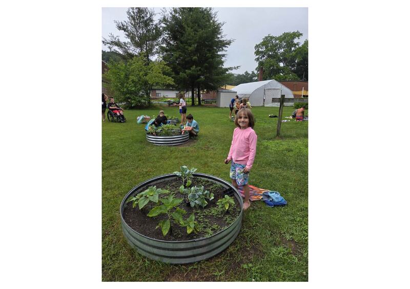 planting