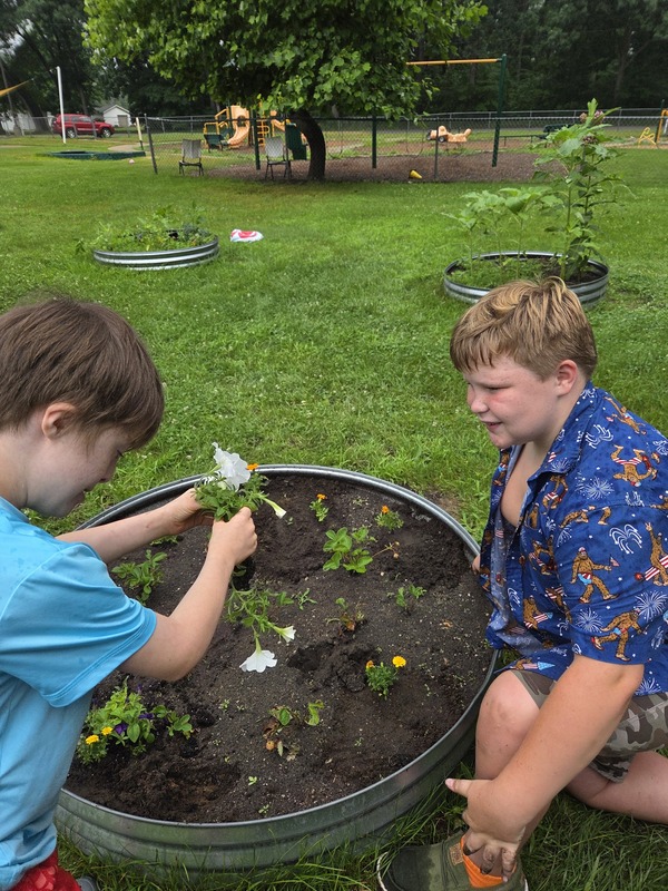 planting