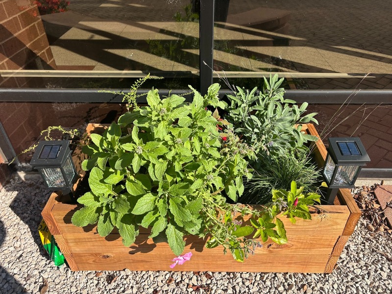 garden club