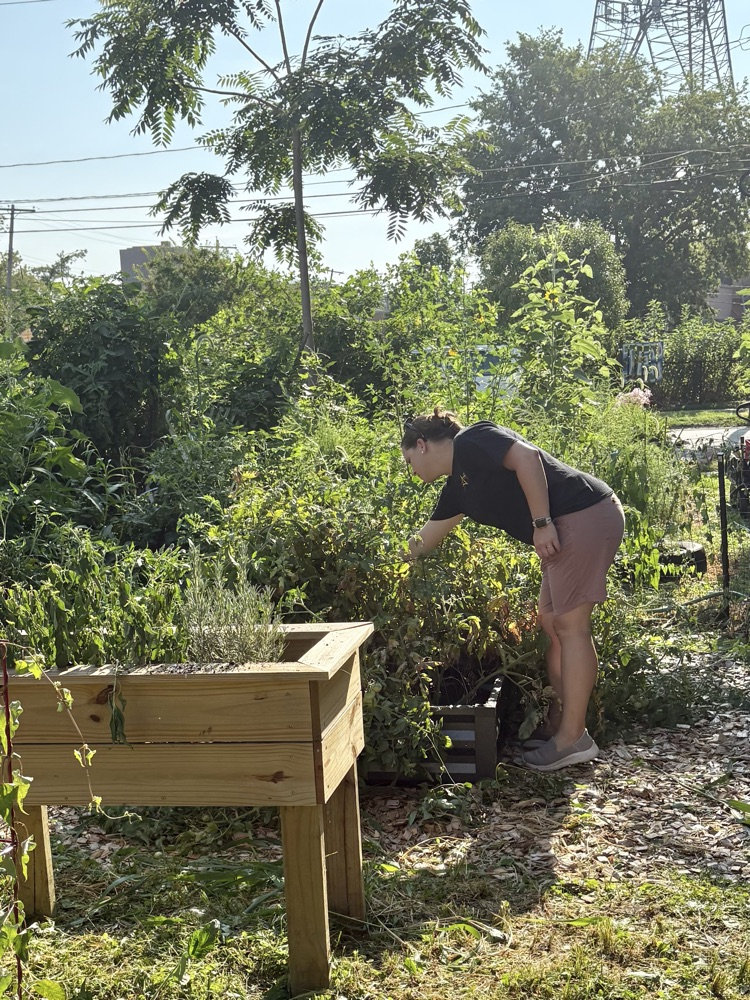 garden crew