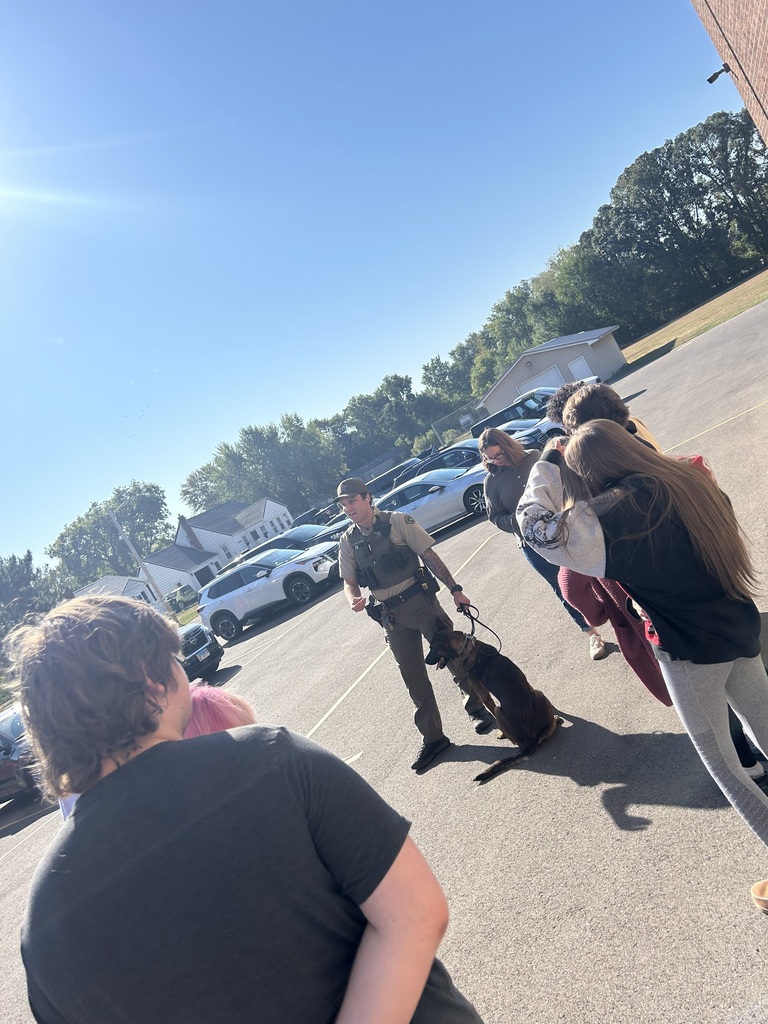 students watching the dog work
