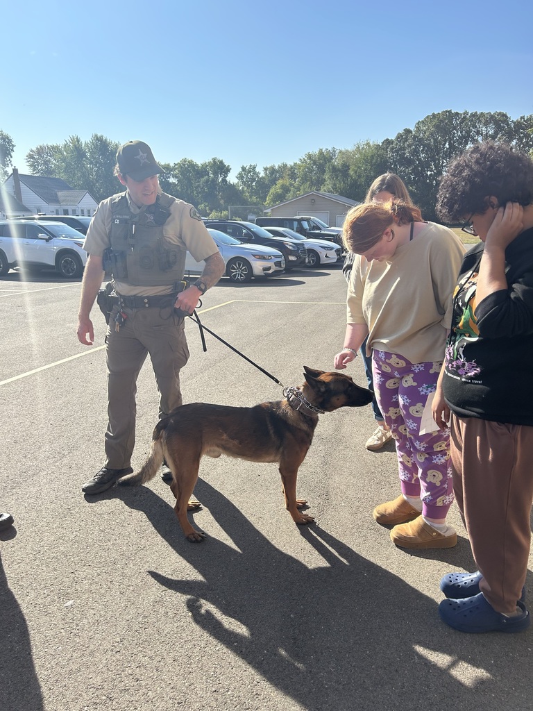 Student petting canine