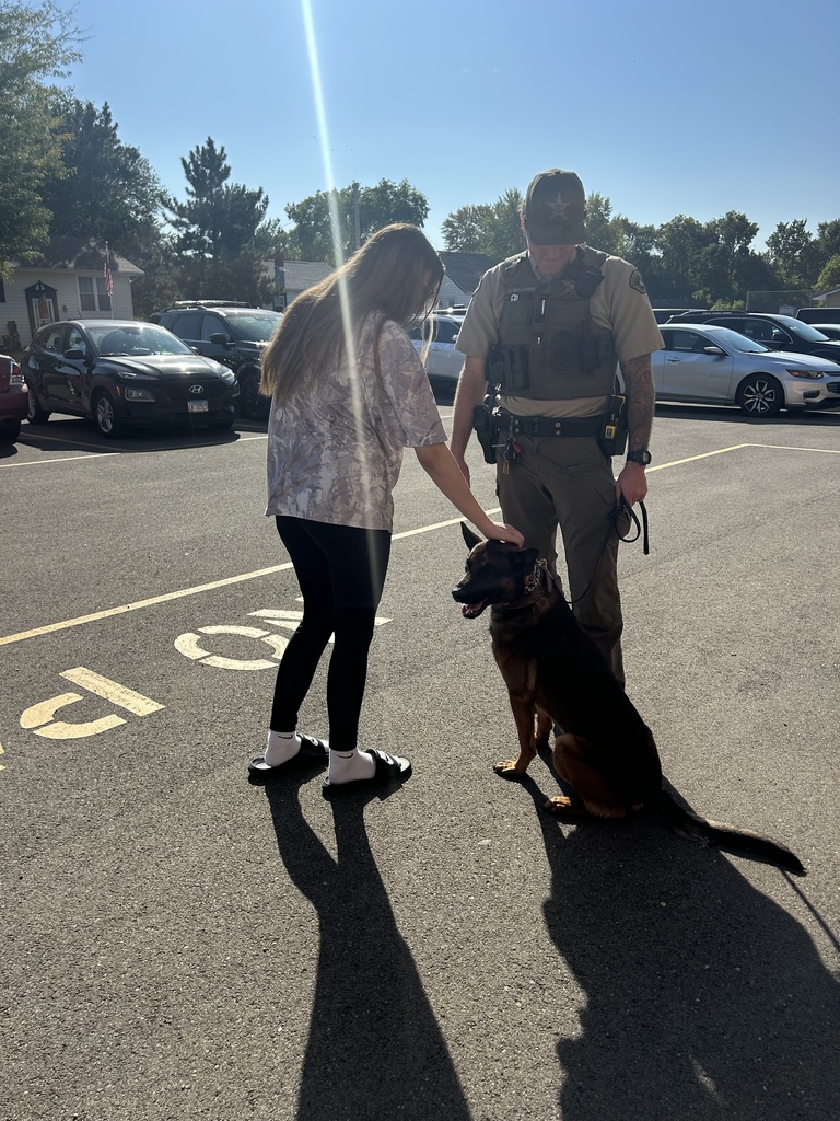 handling the dog
