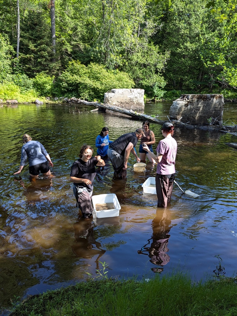 Stream Monitoring