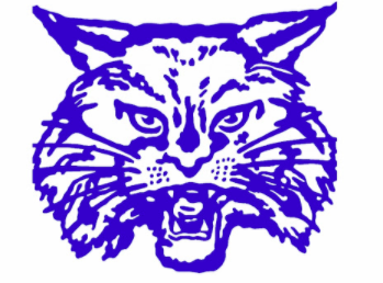 bobcat