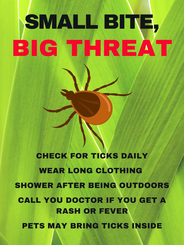Tick