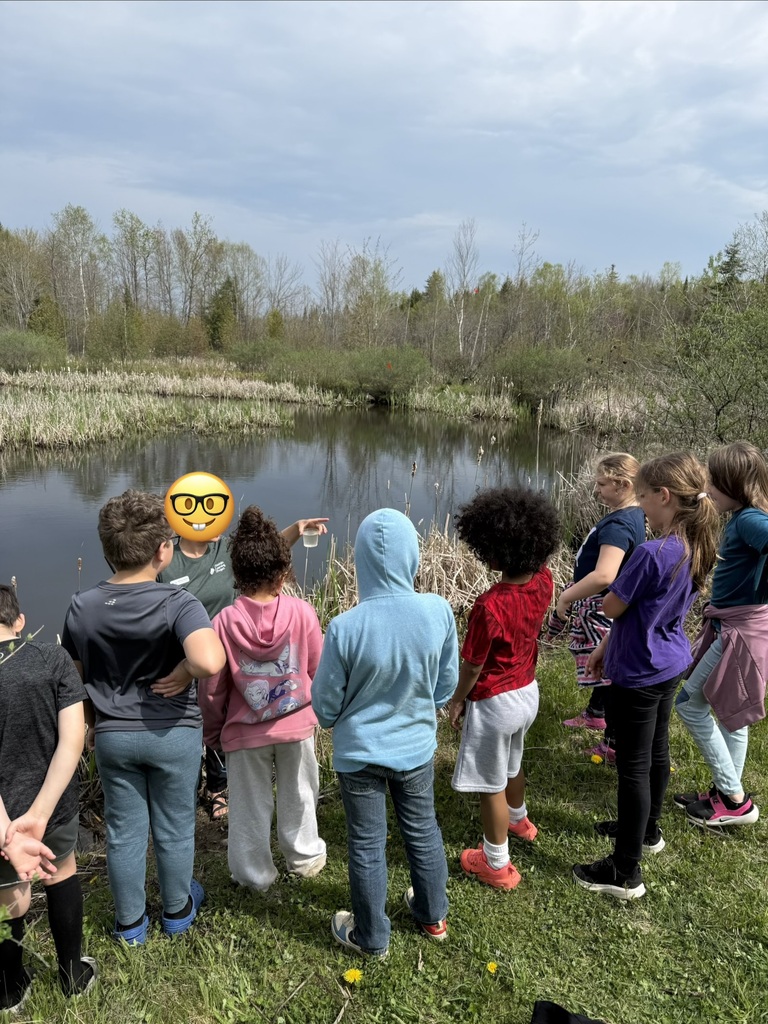 Third grade lesson