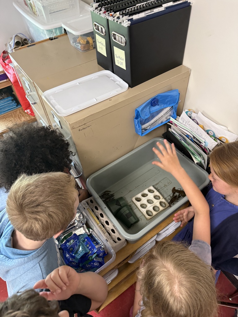 Third grade lesson