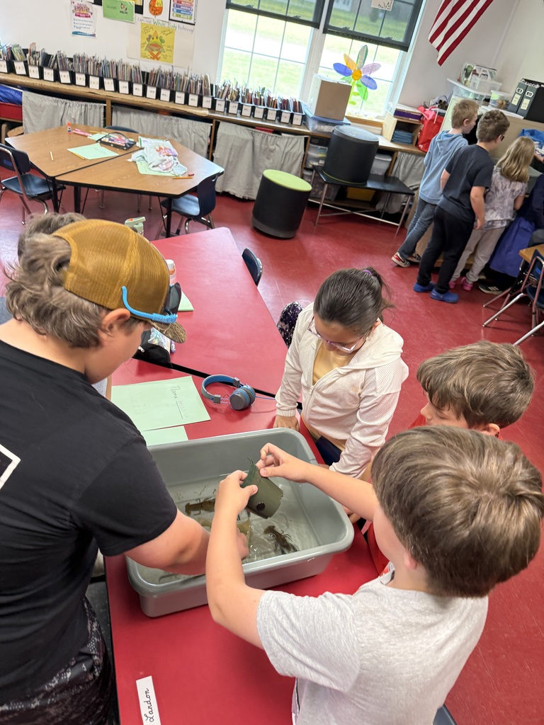 Third grade lesson