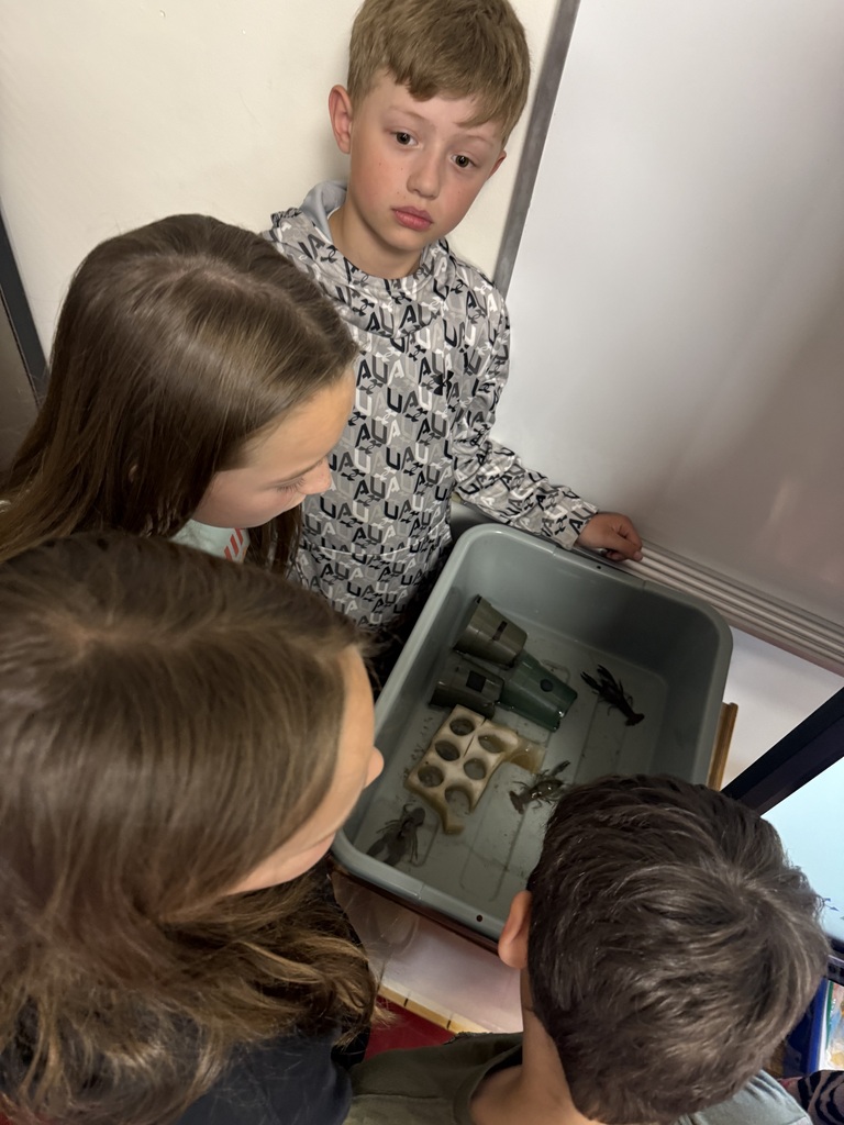 Third grade lesson
