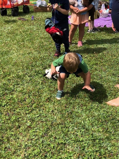 Teddy bear picnic