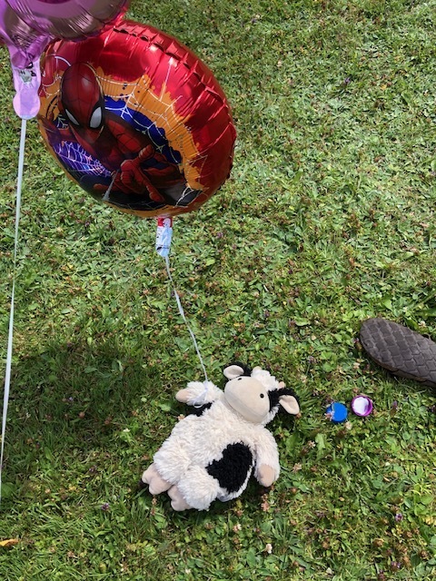 Teddy bear picnic