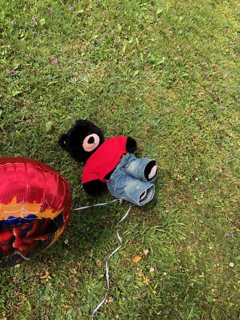 Teddy bear picnic