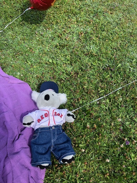 Teddy bear picnic