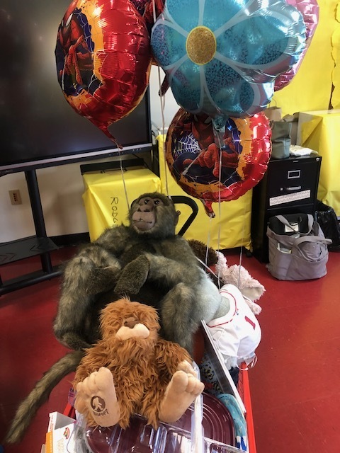 Teddy bear picnic
