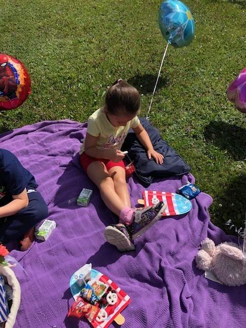 Teddy bear picnic