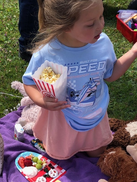 Teddy bear picnic