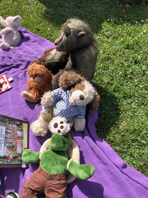Teddy bear picnic