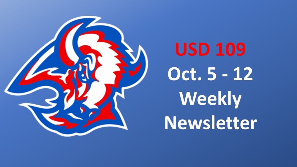 Newsletter7