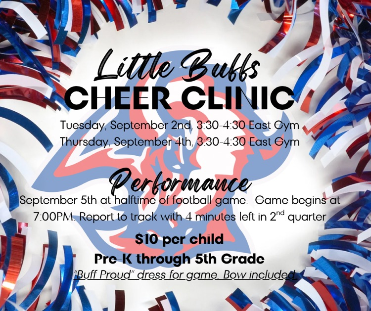 cheer clinic