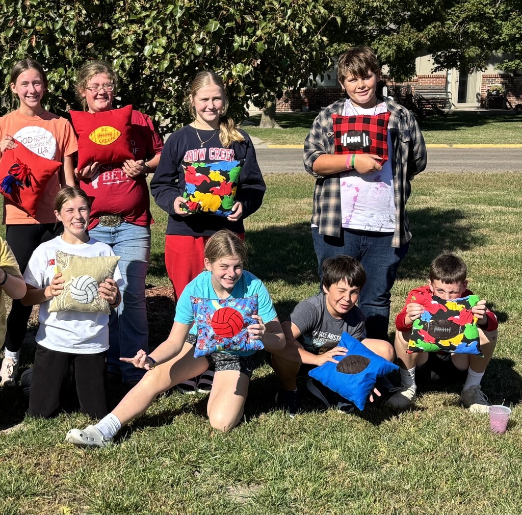More pillow creations