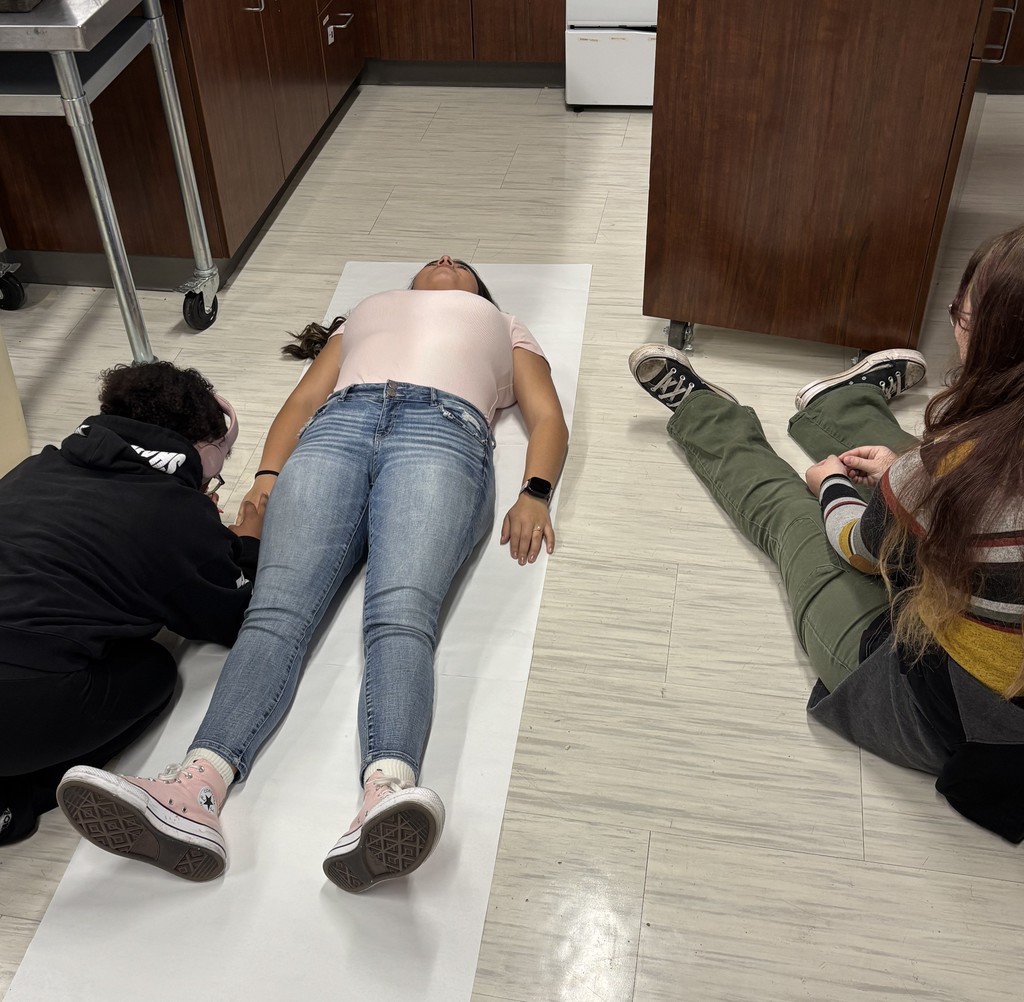 Tracing the body model