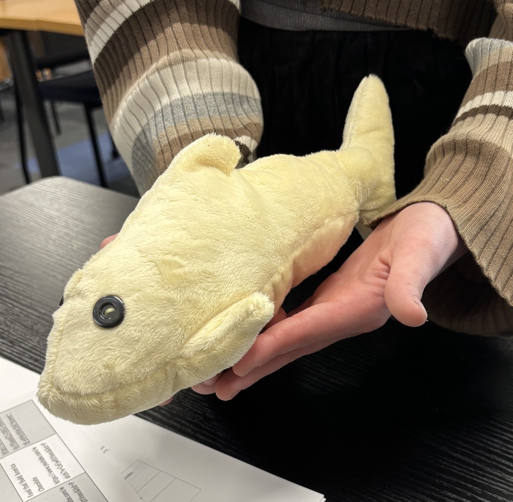 Shark stuffy