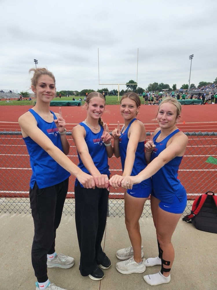 4x8