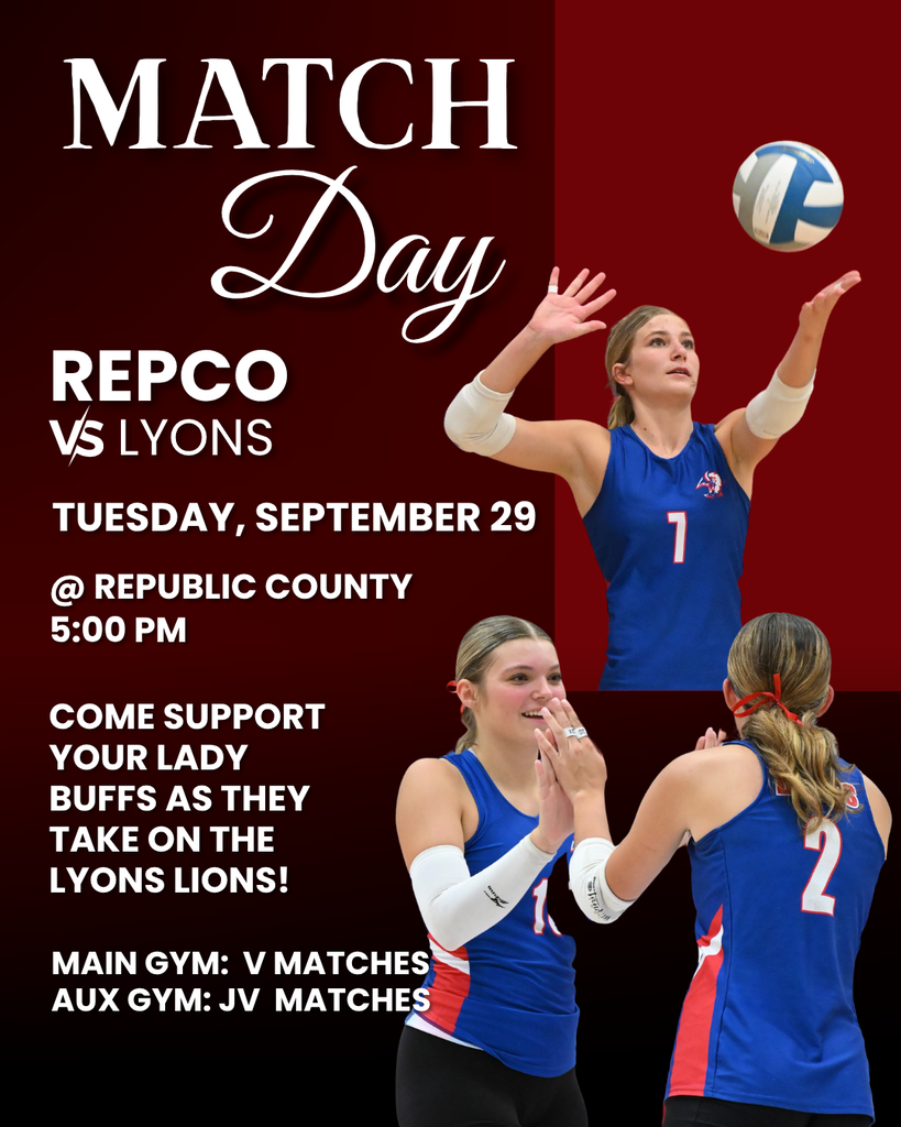 vb vs lyons