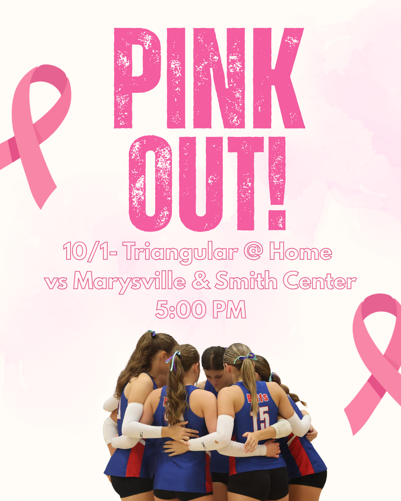VB Pink out Triangular