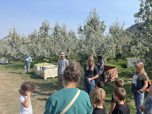 orchard