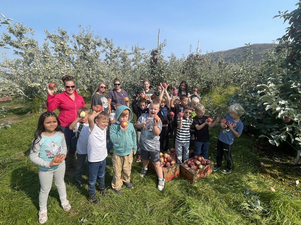 orchard